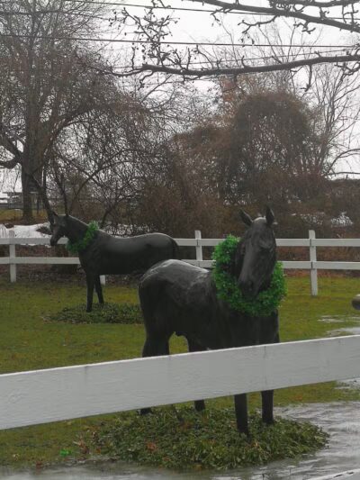 Highland Farm/ Caballos - Darien, CT