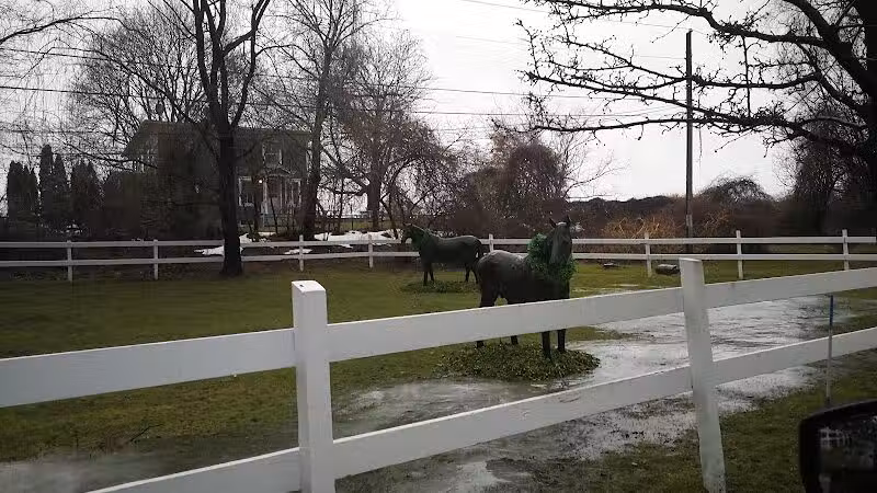 Highland Farm/ Caballos - Darien, CT