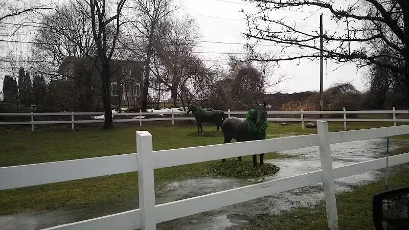 Highland Farm/ Caballos - Darien, CT