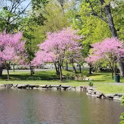 Tilley Pond Park - Darien, CT