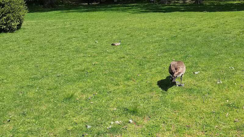 Tilley Pond Park - Darien, CT