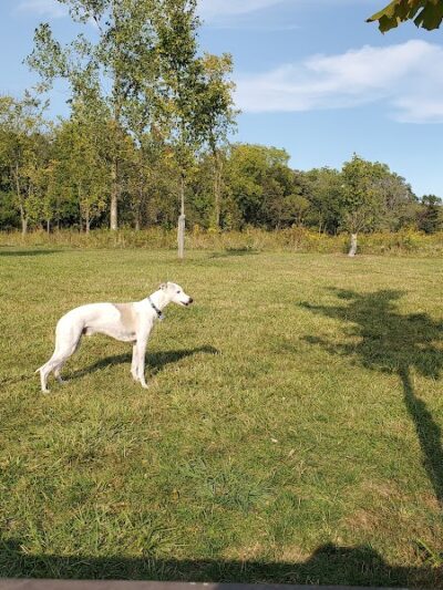 Oldfield Oaks Dog Park - Darien, IL