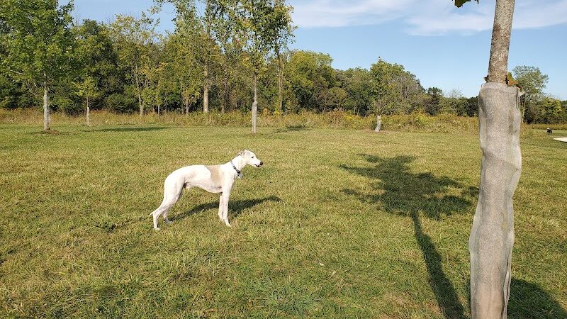 Oldfield Oaks Dog Park - Darien, IL