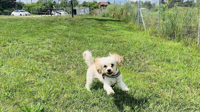 Oldfield Oaks Dog Park - Darien, IL