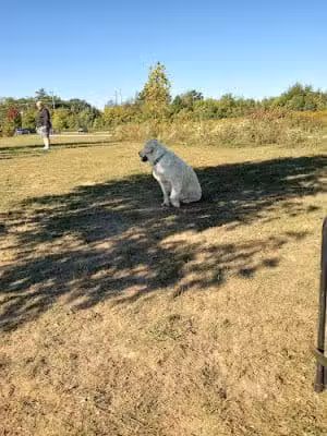 Oldfield Oaks Dog Park - Darien, IL
