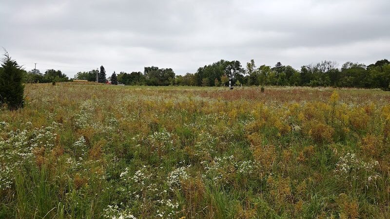 Oldfield Oaks Dog Park - Darien, IL