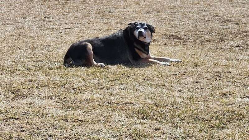 Oldfield Oaks Dog Park - Darien, IL