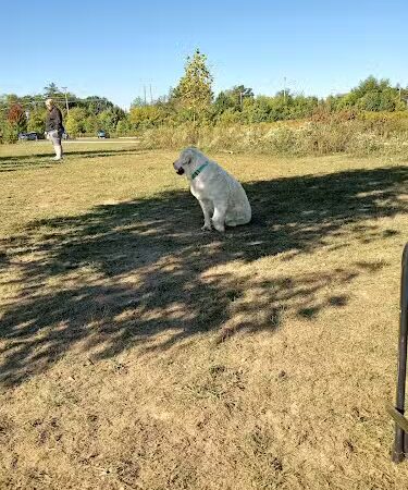 Oldfield Oaks Dog Park - Darien, IL