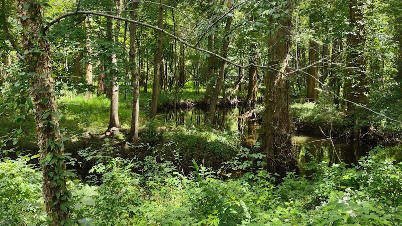 Williamson Park - Darlington, SC