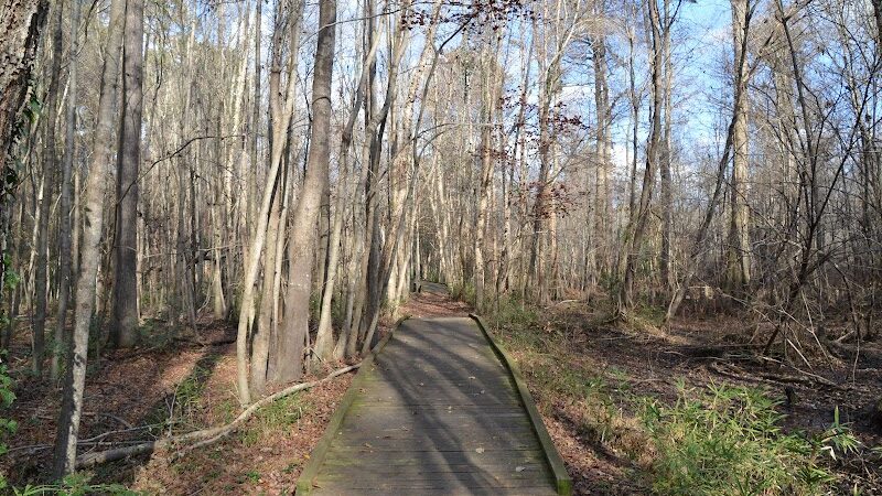 Williamson Park - Darlington, SC