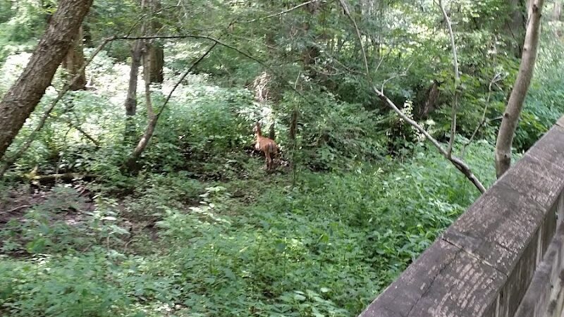 Williamson Park - Darlington, SC