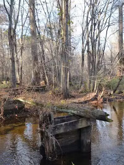 Williamson Park - Darlington, SC