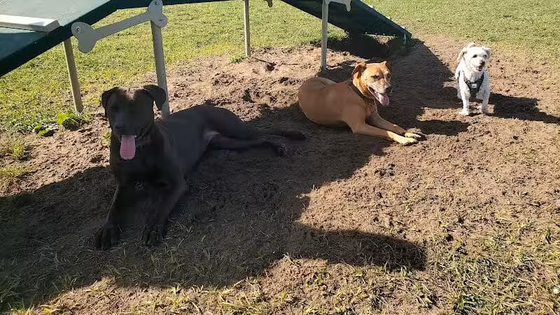 Dog park - Davenport, FL