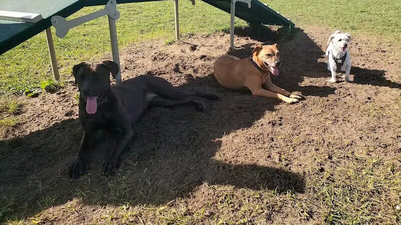 Dog park - Davenport, FL
