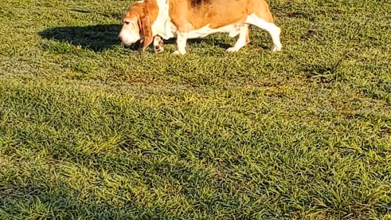 Northeast Regional Park - Davenport, FL
