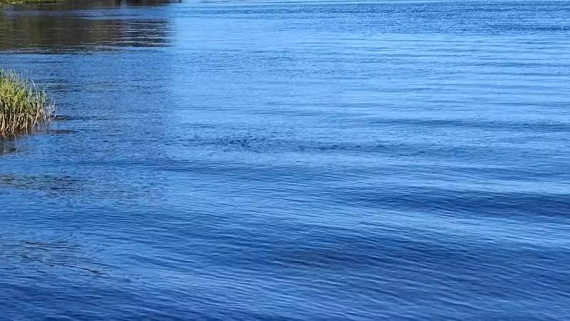 Northeast Regional Park - Davenport, FL