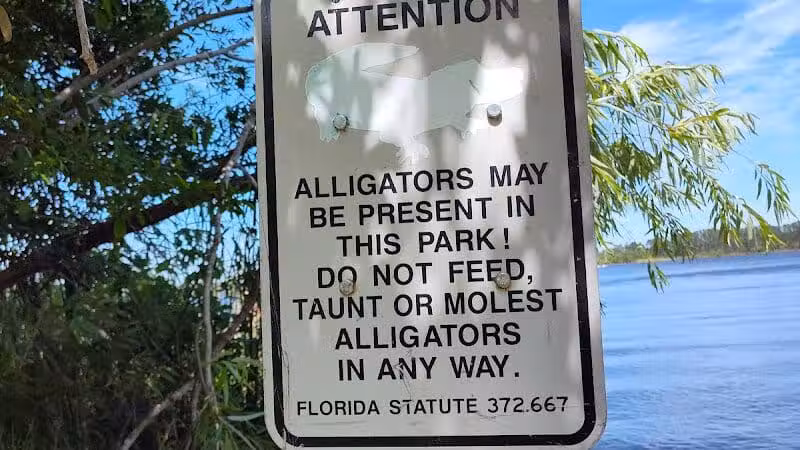 Northeast Regional Park - Davenport, FL