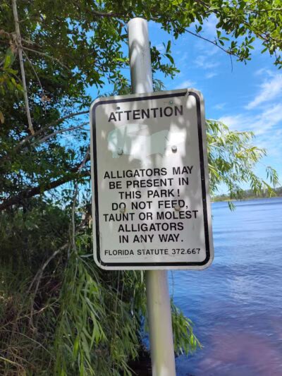 Northeast Regional Park - Davenport, FL