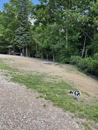 The Preserve Dog Park - Davidson, NC
