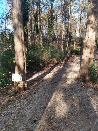 The Preserve Dog Park - Davidson, NC