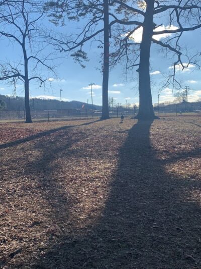 Dayton Dog Park - Dayton, TN