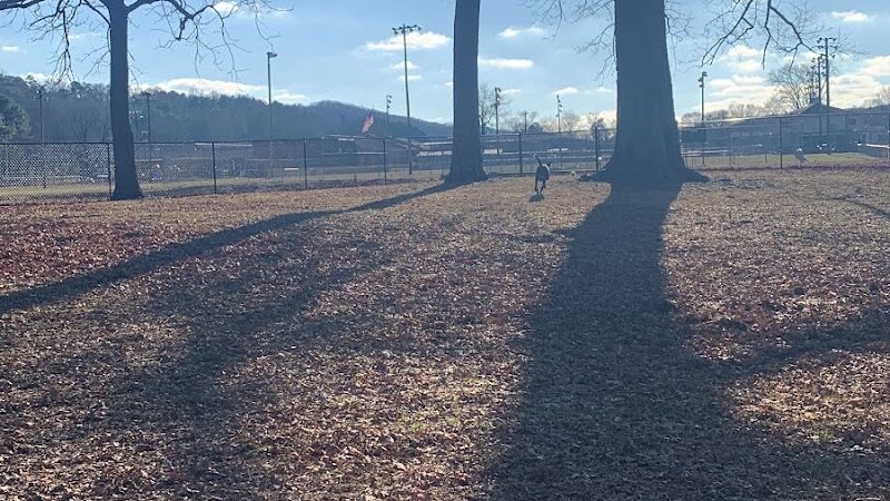 Dayton Dog Park - Dayton, TN