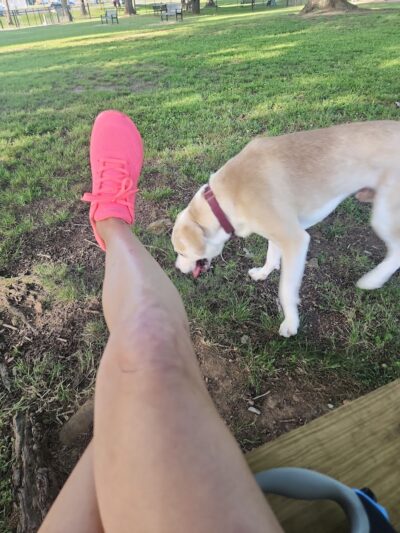 Dayton Dog Park - Dayton, TN