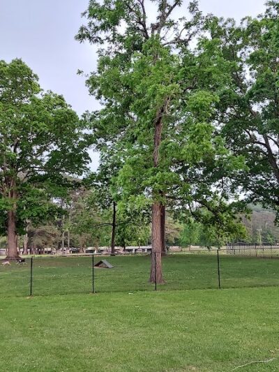 Dayton Dog Park - Dayton, TN