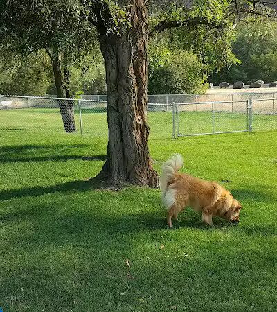 Dayton Dog Park - Dayton, WA