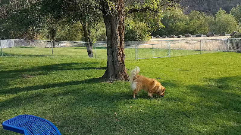 Dayton Dog Park - Dayton, WA