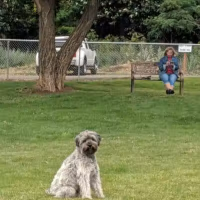Dayton Dog Park - Dayton, WA