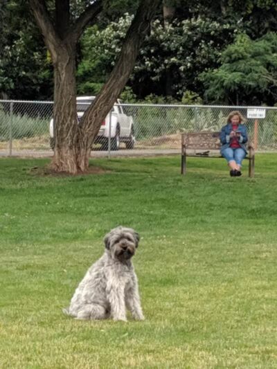 Dayton Dog Park - Dayton, WA