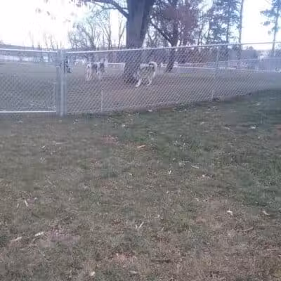 Dayton Dog Park - Dayton, WA