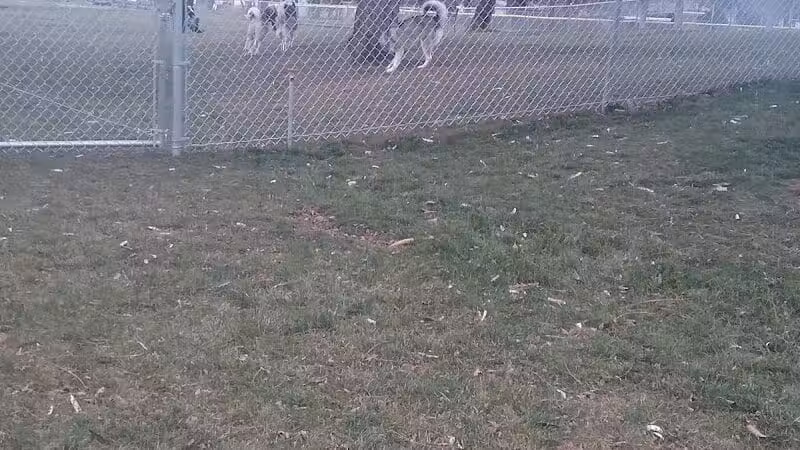 Dayton Dog Park - Dayton, WA