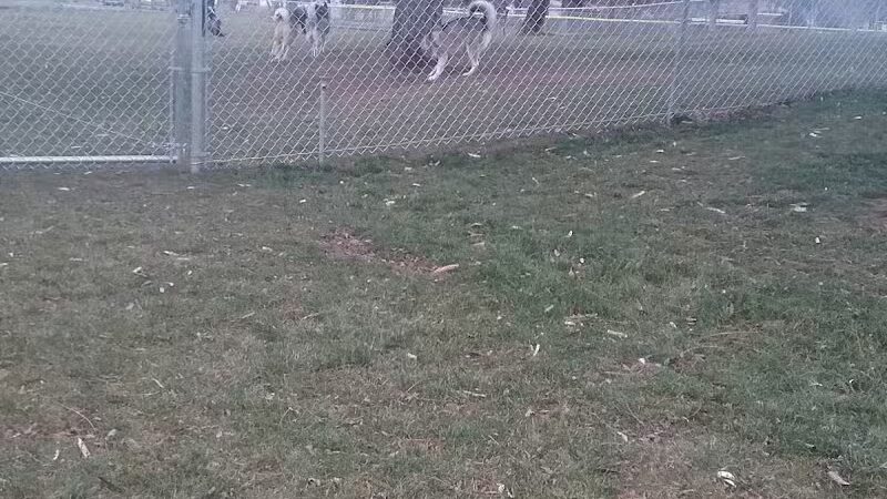 Dayton Dog Park - Dayton, WA