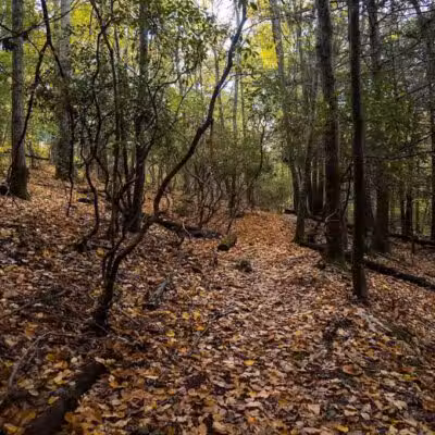 Cat Hollow Park - Dayville, CT