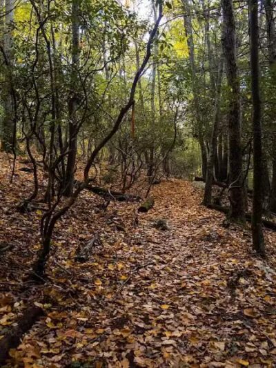 Cat Hollow Park - Dayville, CT