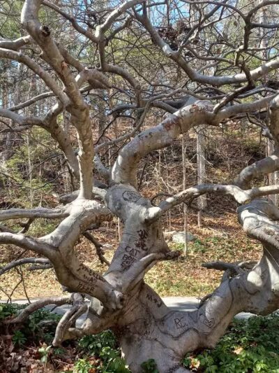 Cat Hollow Park - Dayville, CT