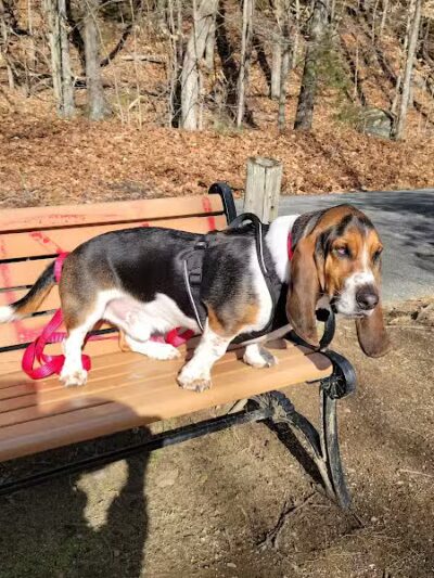 Cat Hollow Park - Dayville, CT