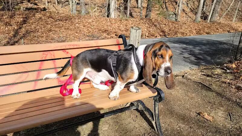 Cat Hollow Park - Dayville, CT