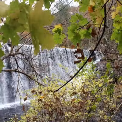 Cat Hollow Park - Dayville, CT