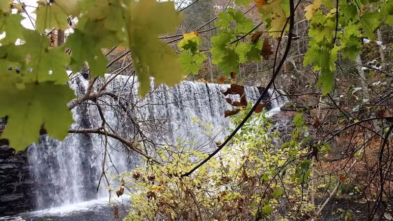 Cat Hollow Park - Dayville, CT