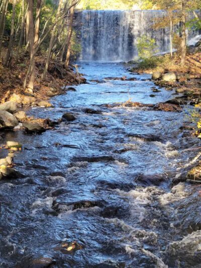 Cat Hollow Park - Dayville, CT