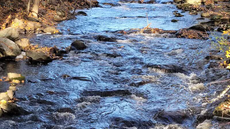 Cat Hollow Park - Dayville, CT