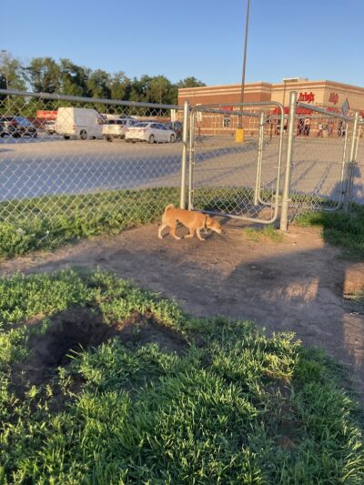 Dog Park at Love's Travel Stops - De Motte, IN