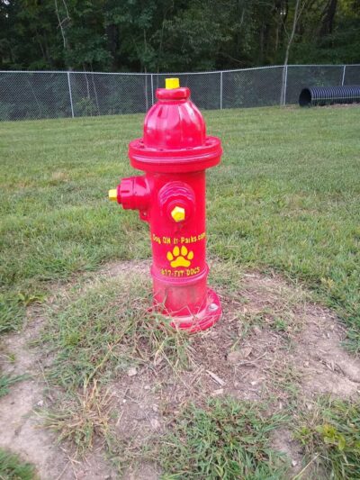 Paws Playground - De Soto, IL