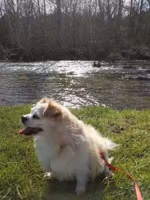 Walther Park - De Soto, MO