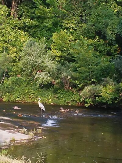 Walther Park - De Soto, MO