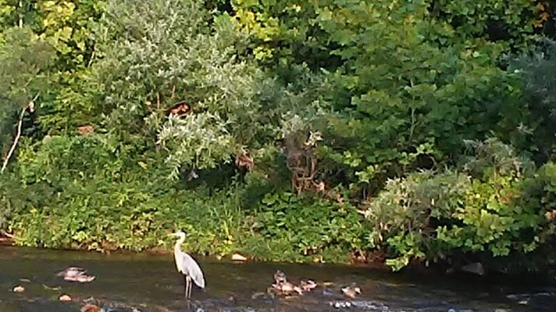 Walther Park - De Soto, MO