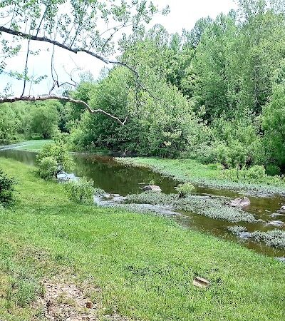 Walther Park - De Soto, MO